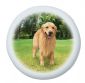 Golden Retriever Tire Cover, Size A