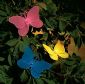 Butterfly Fun Lights, Wire Mesh