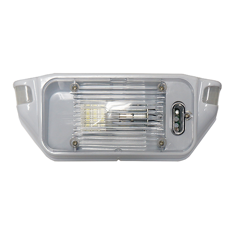 AP Products 016-SL1000 Starlight Porch Light